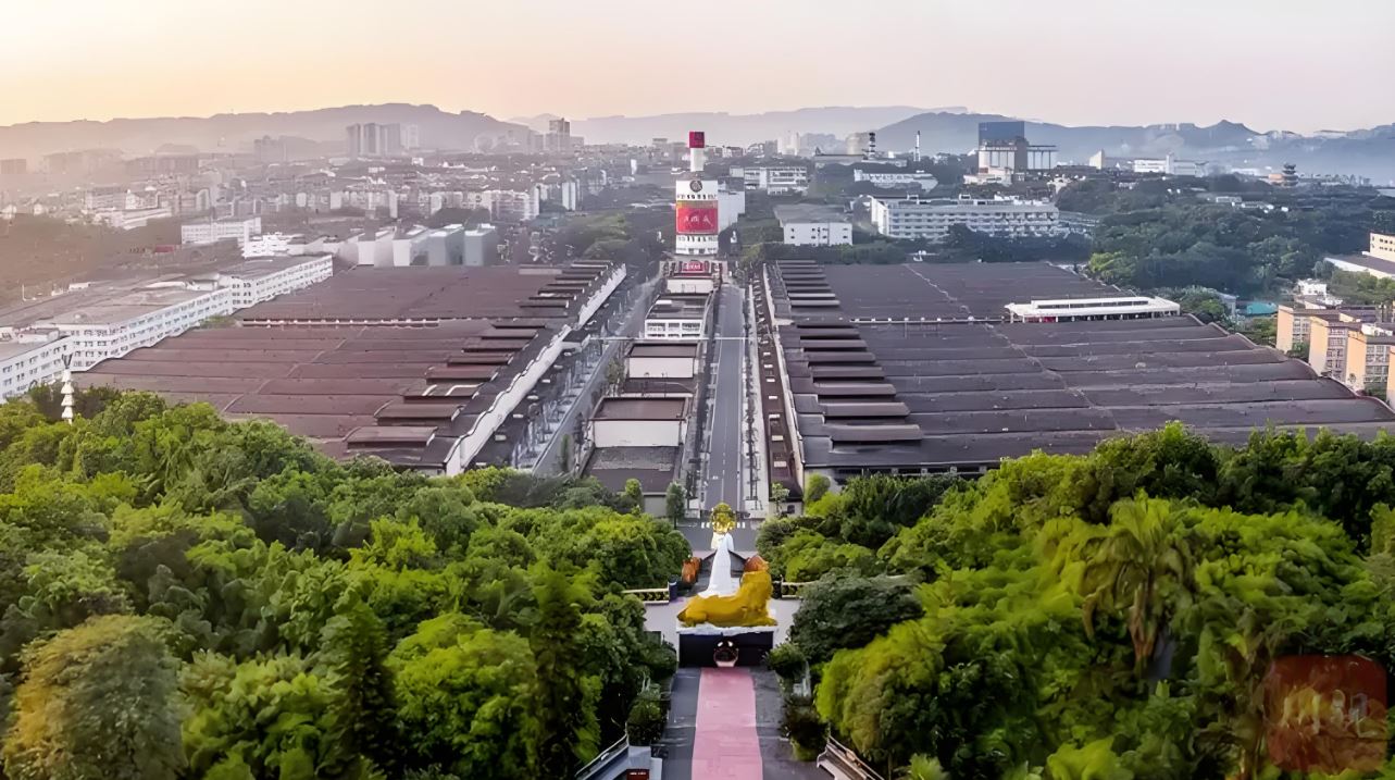 중국 최고의 명주!! 우량예(五粮液 오량액)에 대해 몰랐던 6가지 이야기 - 월량선생의 중국이야기